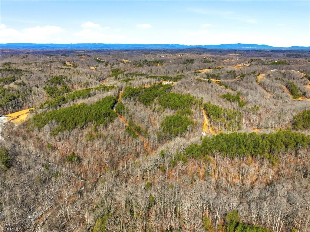 1324 Hardie Mabe Road Danbury, NC 27016 - Photo 4 of 41