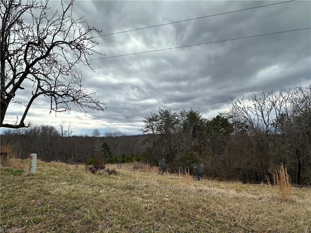 1324 Hardie Mabe Road Danbury, NC 27016 - Photo 41 of 41