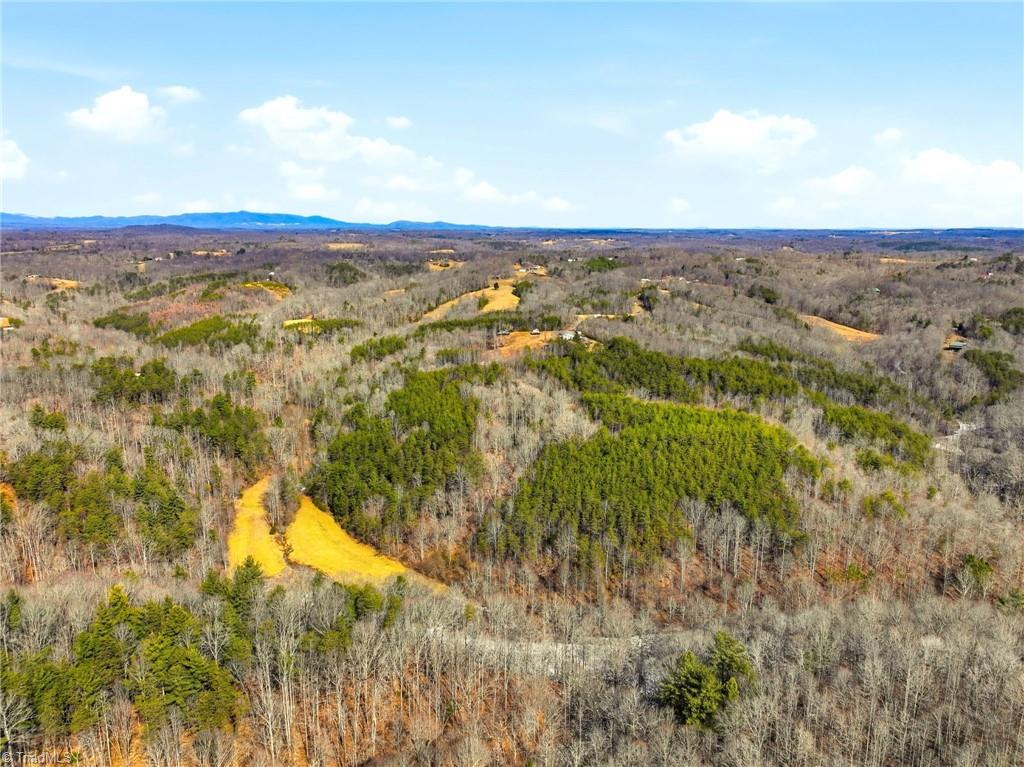 1324 Hardie Mabe Road Danbury, NC 27016 - Photo 5 of 41