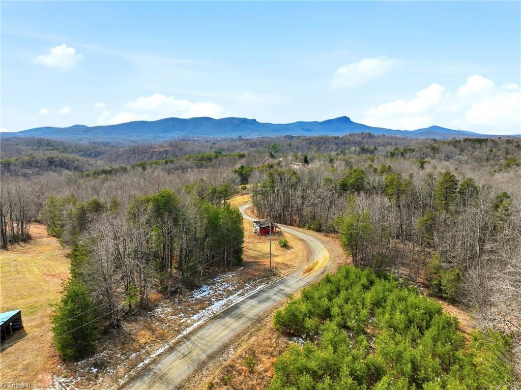 1324 Hardie Mabe Road Danbury, NC 27016 - Photo 6 of 41