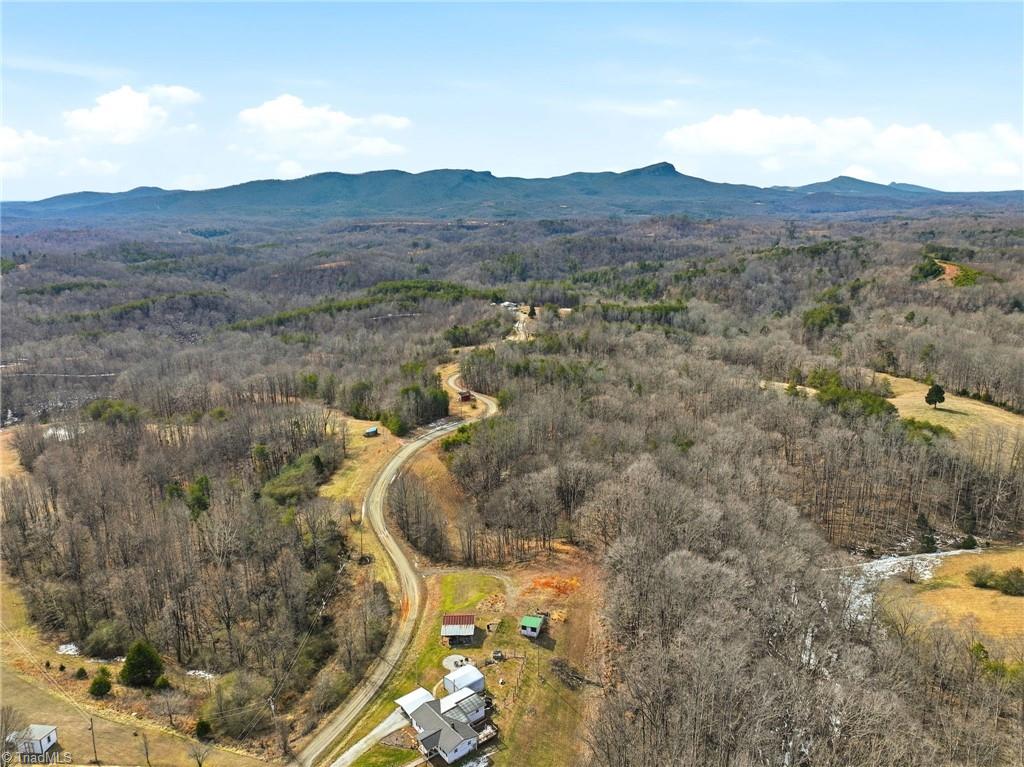 1324 Hardie Mabe Road Danbury, NC 27016 - Photo 7 of 41