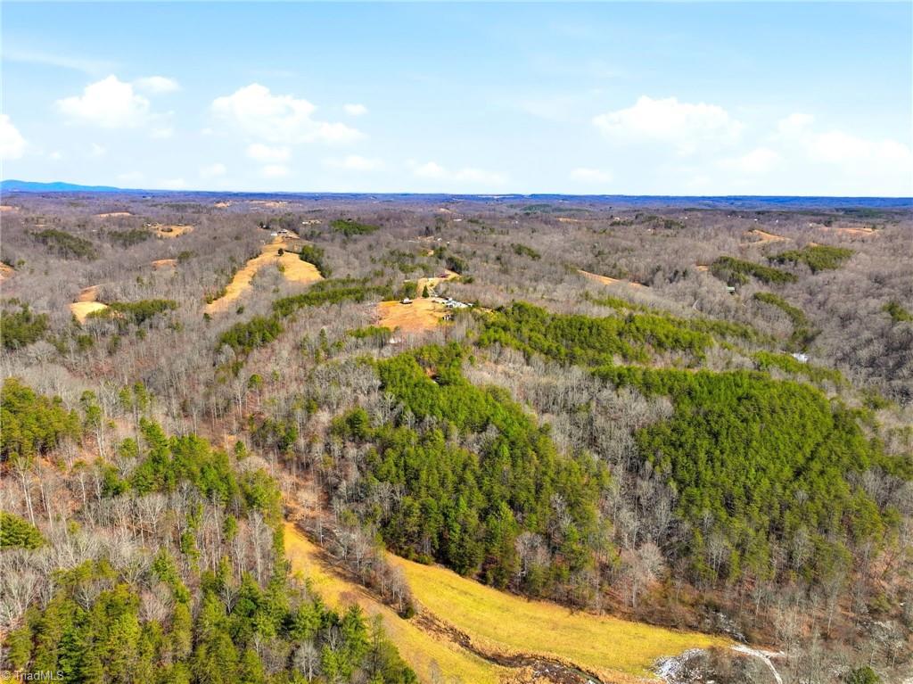 1324 Hardie Mabe Road Danbury, NC 27016 - Photo 8 of 41