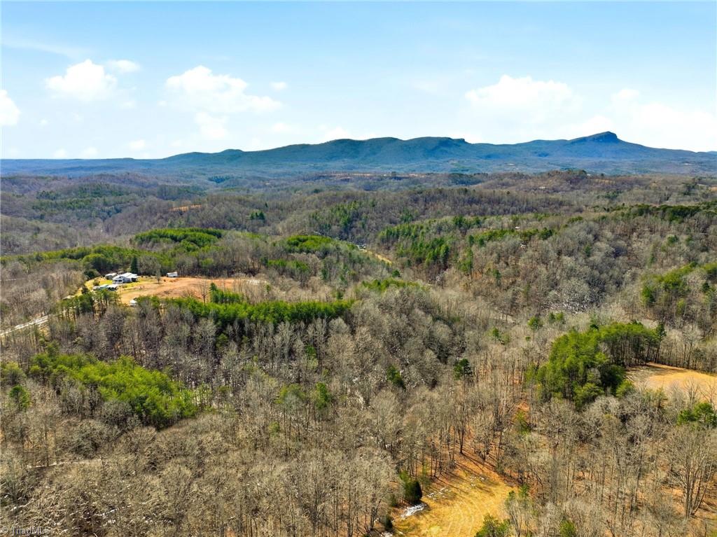 1324 Hardie Mabe Road Danbury, NC 27016 - Photo 10 of 41