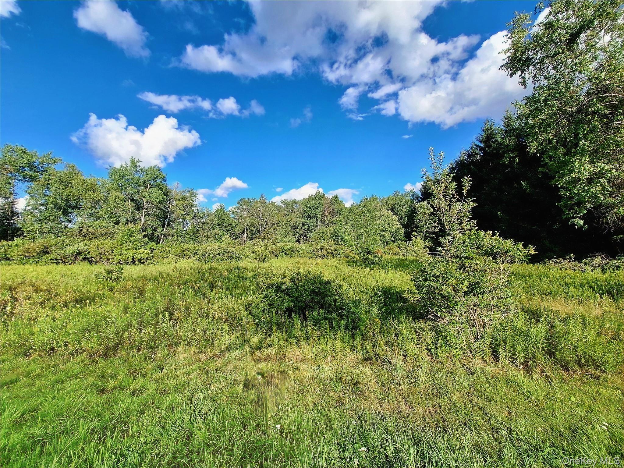 Burnt Ridge Road Fallsburg, NY 12733 - Photo 24 of 38 Gallery Image 24