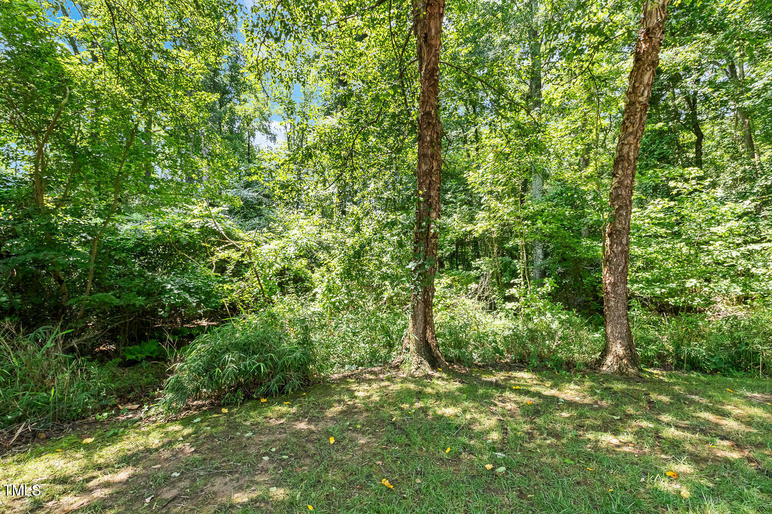 2628 Hunters Meadow Lane Raleigh, NC 27606 - Photo 63 of 76 a view of a lush green forest
