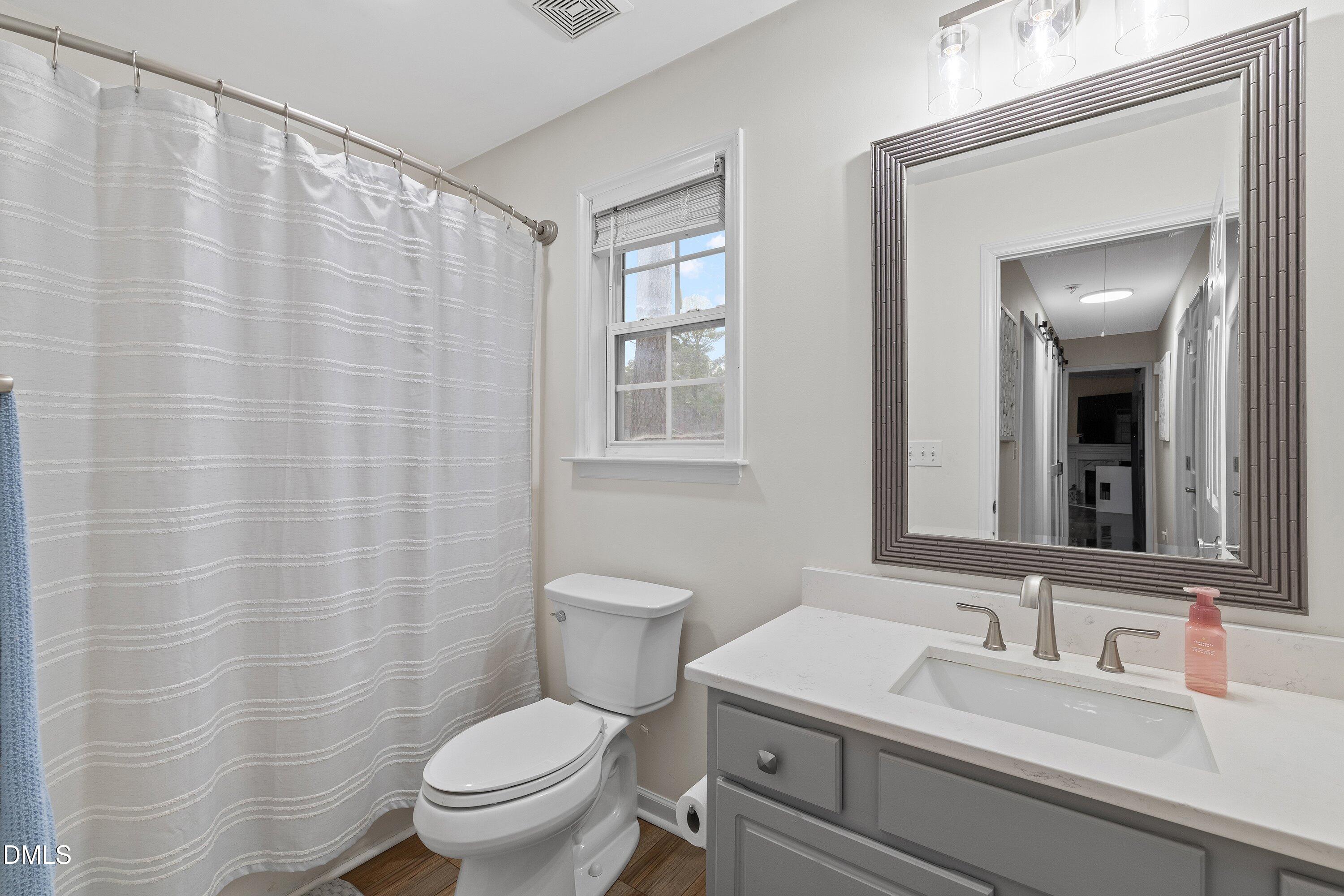 234 Linville Lane Willow Spring, NC 27592 - Photo 21 of 34 a bathroom with a sink a toilet and a mirror