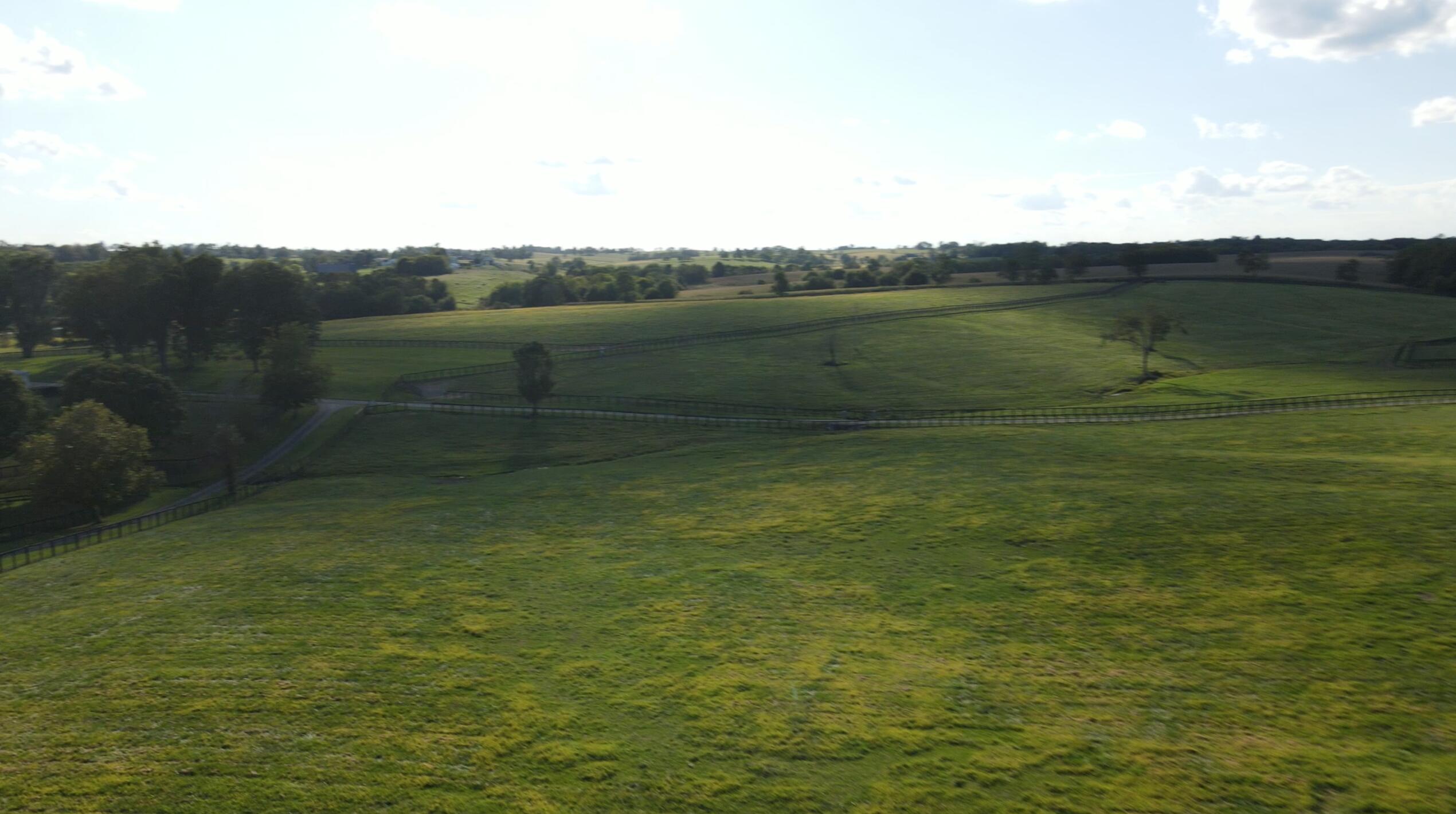 1649 Jackstown Road Paris, KY 40361 - Photo 8 of 9 SS15