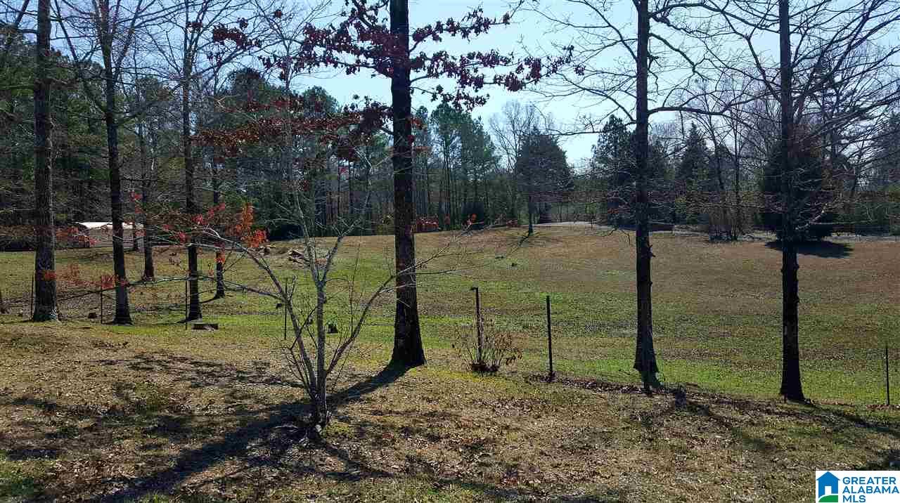 8201 Brooks Road Morris, AL 35116 - Photo 30 of 37