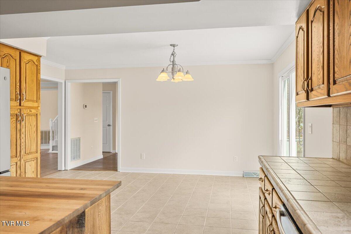 3 Shelldrake Court Johnson City, TN 37601 - Photo 19 of 53 20-128A9818