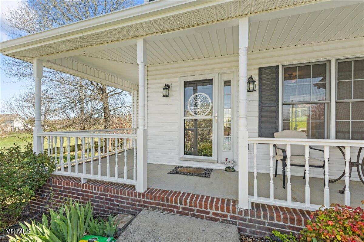 3 Shelldrake Court Johnson City, TN 37601 - Photo 4 of 53 06-128A9774