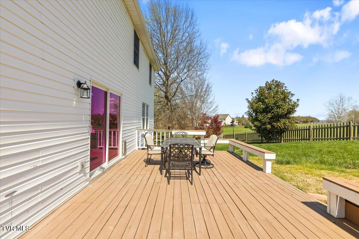 3 Shelldrake Court Johnson City, TN 37601 - Photo 49 of 53 51-128A9909