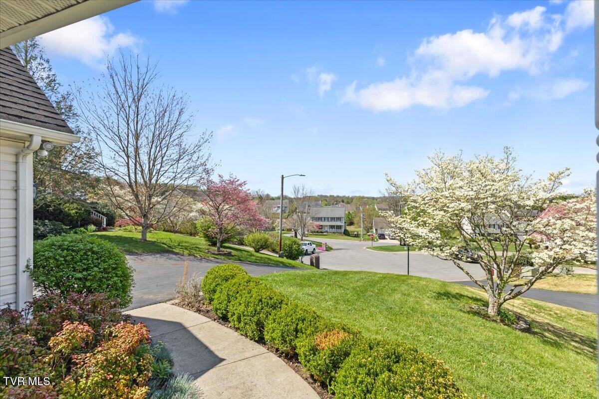 3 Shelldrake Court Johnson City, TN 37601 - Photo 10 of 53 07-128A9777