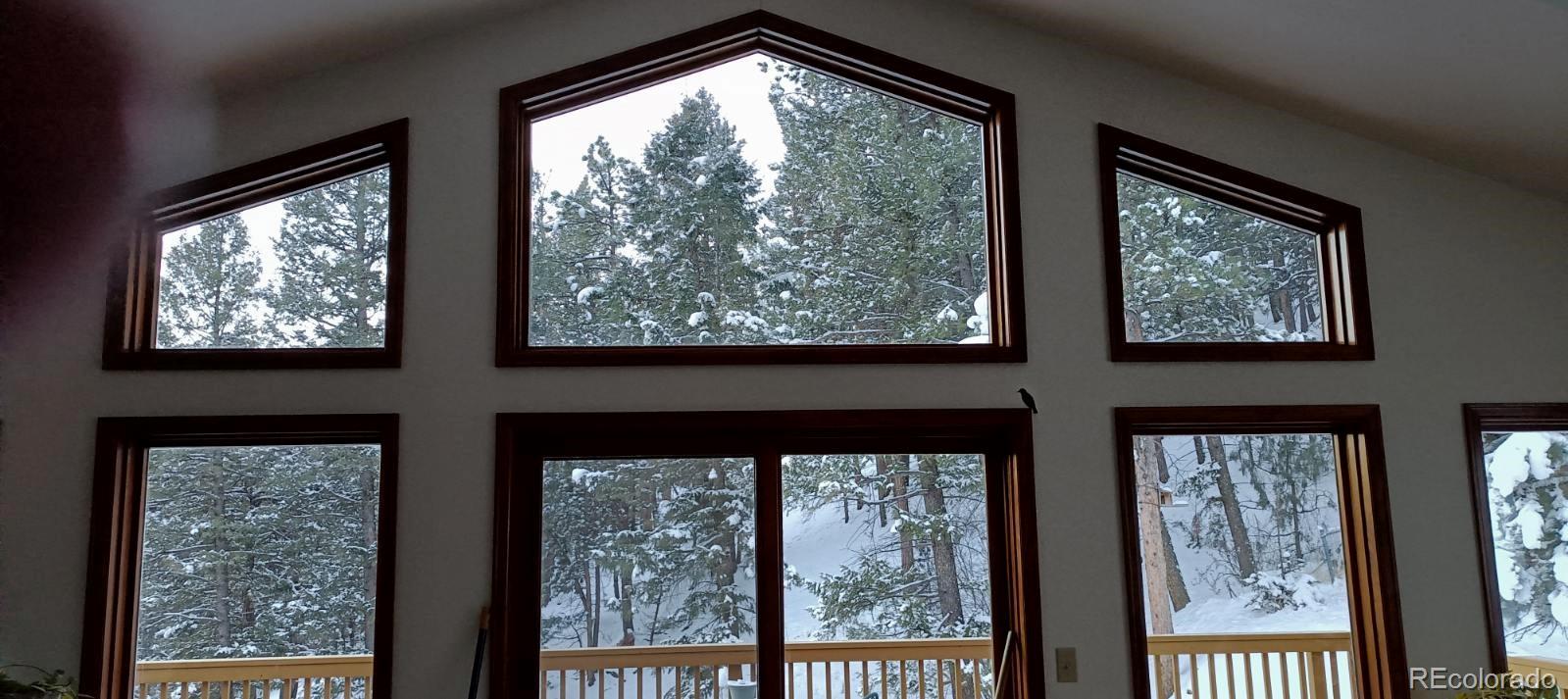 1269 Roland Drive Bailey, CO 80421 - Photo 37 of 38 a view of a front door and a window