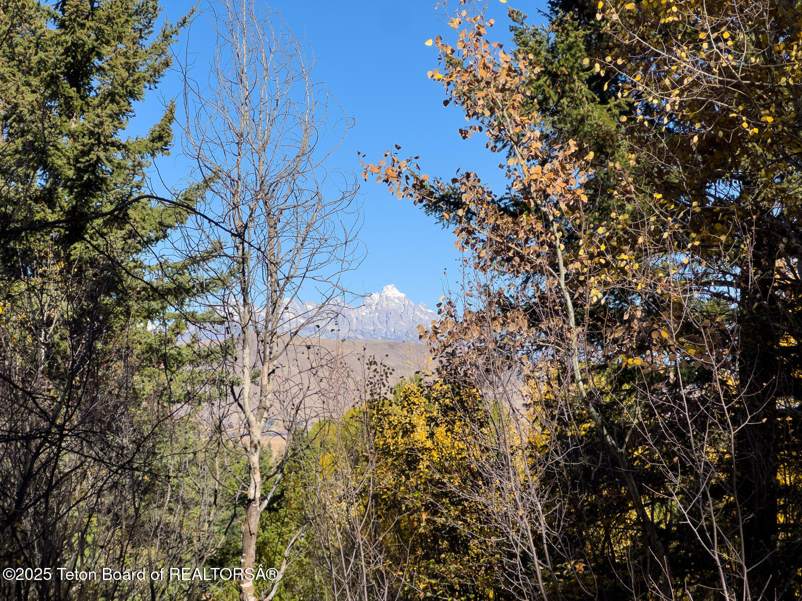 845 Upper Cache Creek Drive Jackson, WY 83001 - Photo 5 of 9 IMG_2426