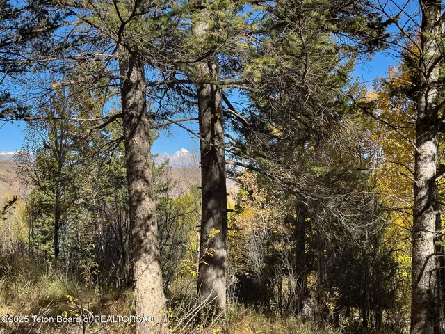 $1,350,000 | 845 Upper Cache Creek Drive, Jackson, WY 83001