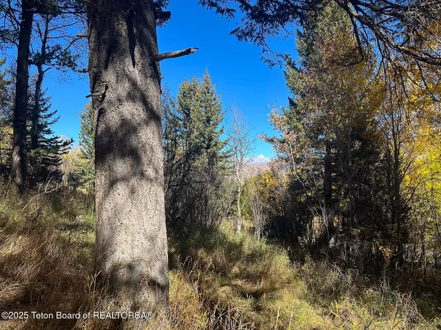 $1,350,000 | 845 Upper Cache Creek Drive, Jackson, WY 83001