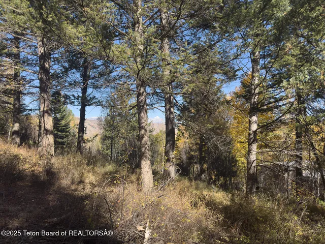 $1,350,000 | 845 Upper Cache Creek Drive, Jackson, WY 83001