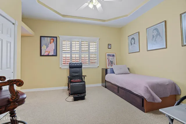 a view of a parking space with a large tree