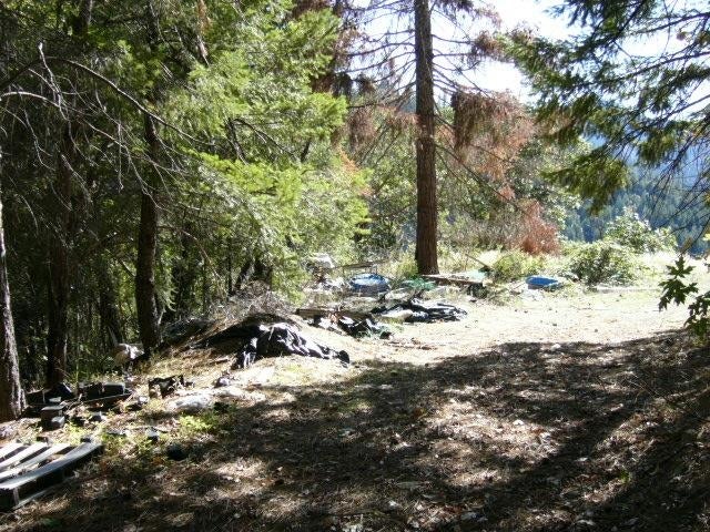 122 Acres Off Usfs Road Happy Camp, CA 96039 - Photo 22 of 25 Gallery Image 22