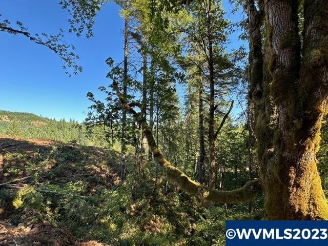 526258 Southwest Pumpkinseed Road Willamina, OR 97396 - Photo 22 of 24