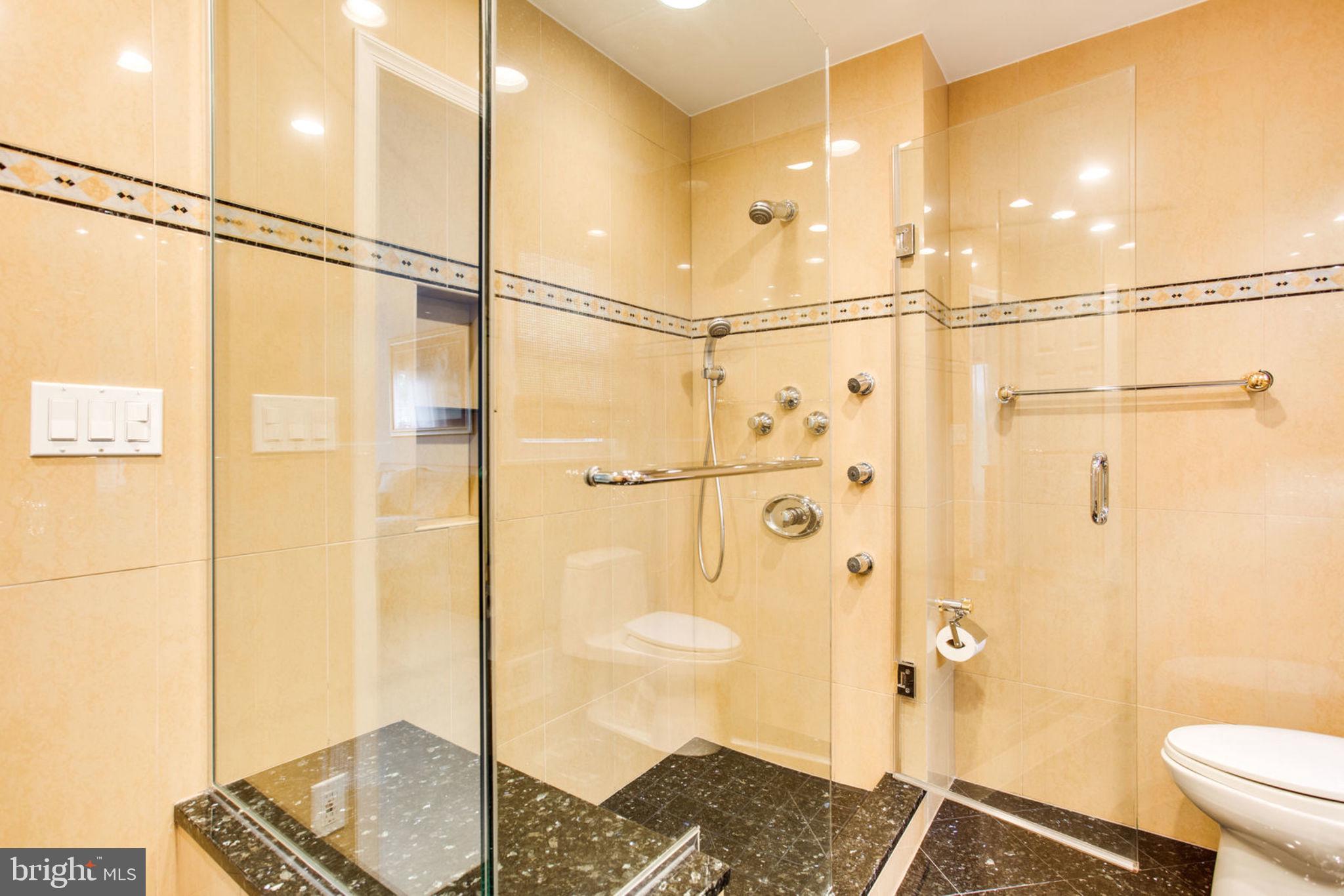 luxurious master shower