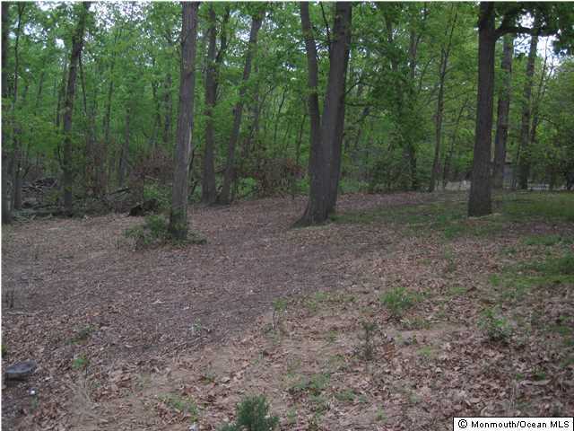 85 Clearstream Road Lakewood, NJ 08701 - Photo 10 of 10 Additional Photo