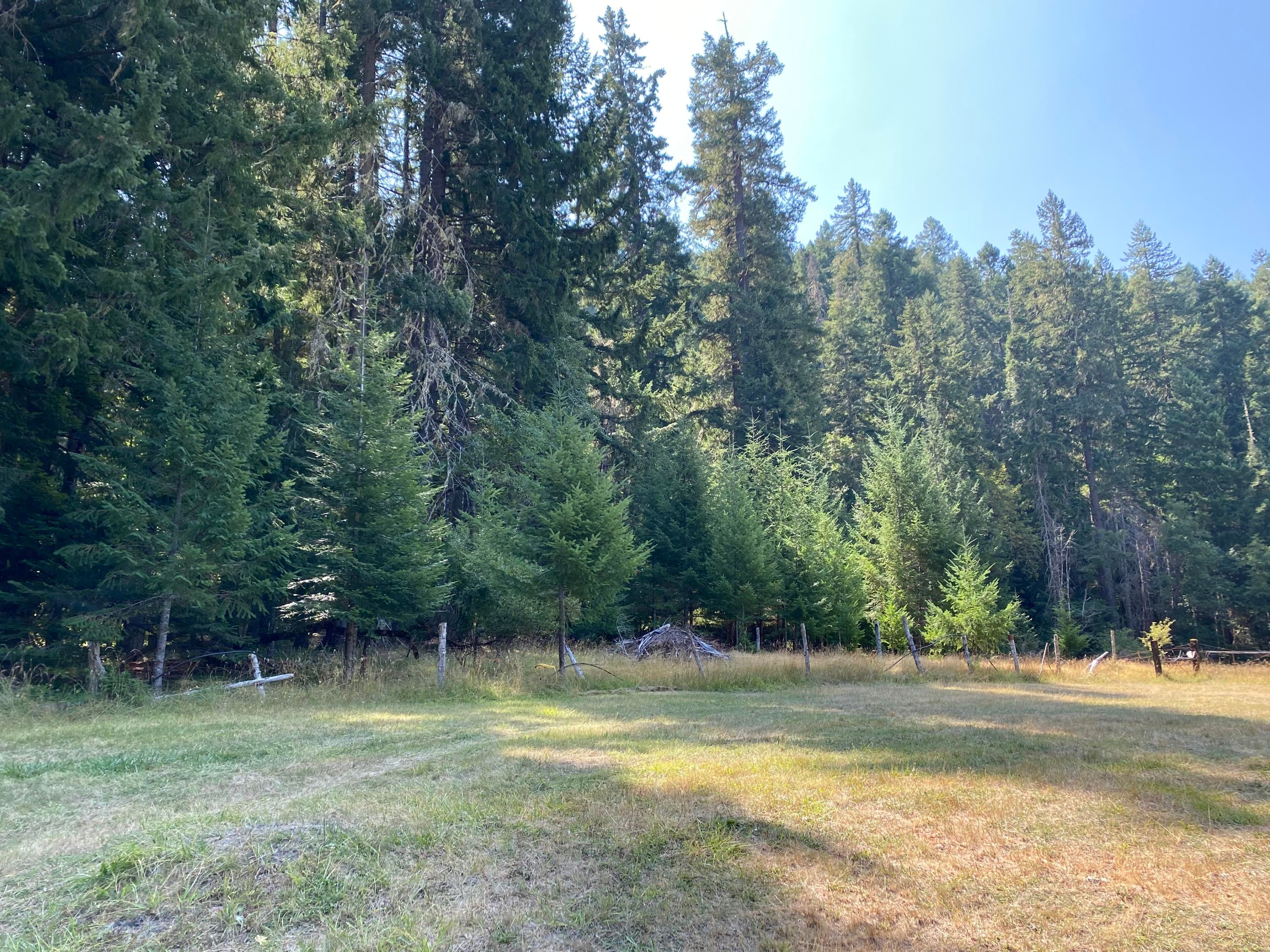 19021 Upper Cow Creek Road Azalea, OR 97410 - Photo 29 of 37 image00034