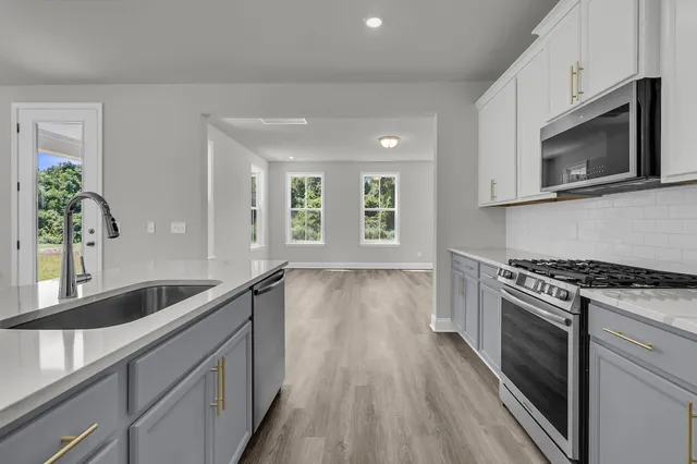 $406,990 | 1 Alma Square Drive, Moncks Corner, SC 29461