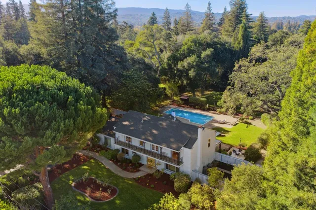a view of a yard with plants