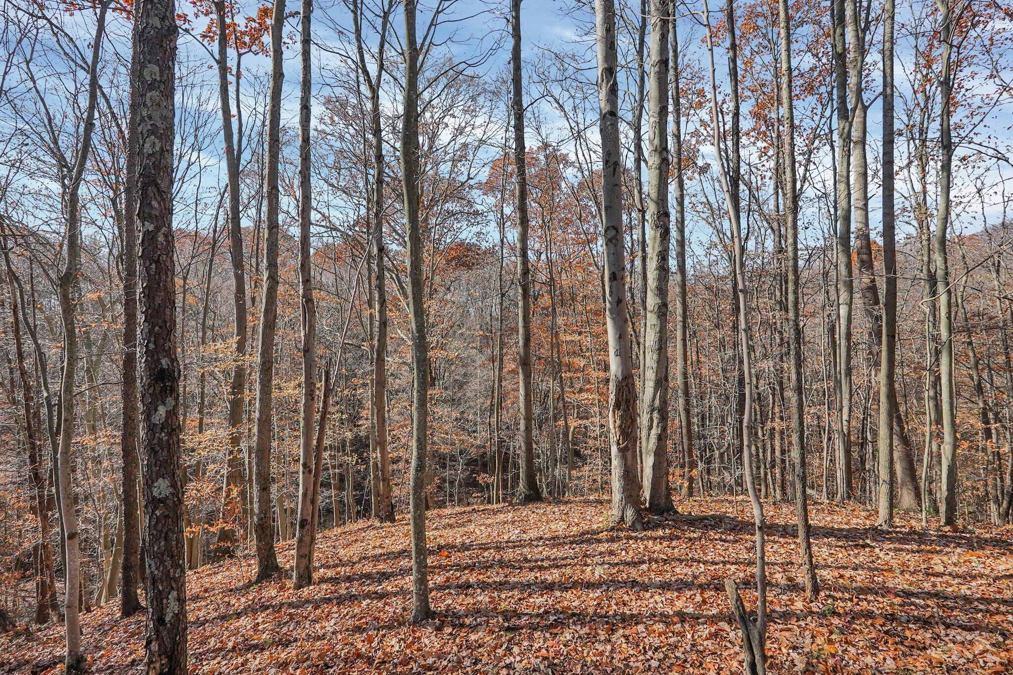 12665 Middlefork Road Amanda, OH 43102 - Photo 66 of 88 69-web-or-mls-12665-middlefork-rd