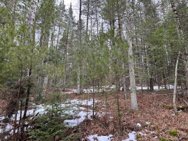 North Ausable Road Mio, MI 48647 - Photo 10 of 16 Gallery Image 10