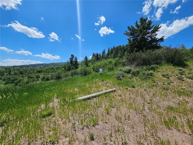 a view of a big yard with lots of green space