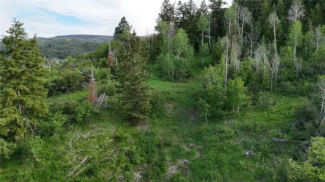 a bathroom with a shower and toilet sink