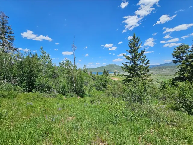 a view of a lush green space