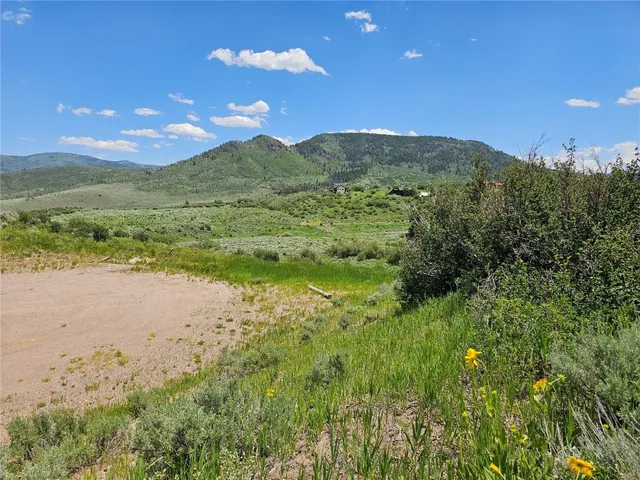 a view of a yard with mountain