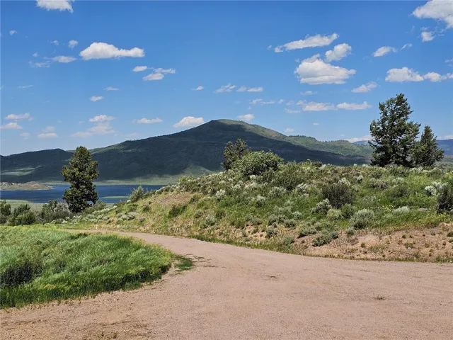 a view of a bunch of trees in a field