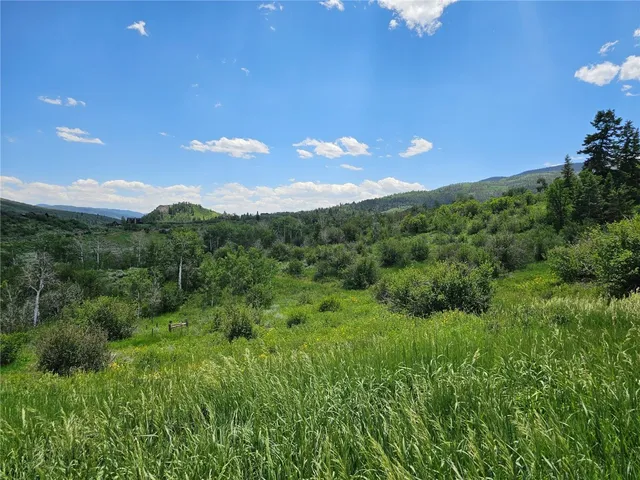 a sign of golf club on a wall under a tree