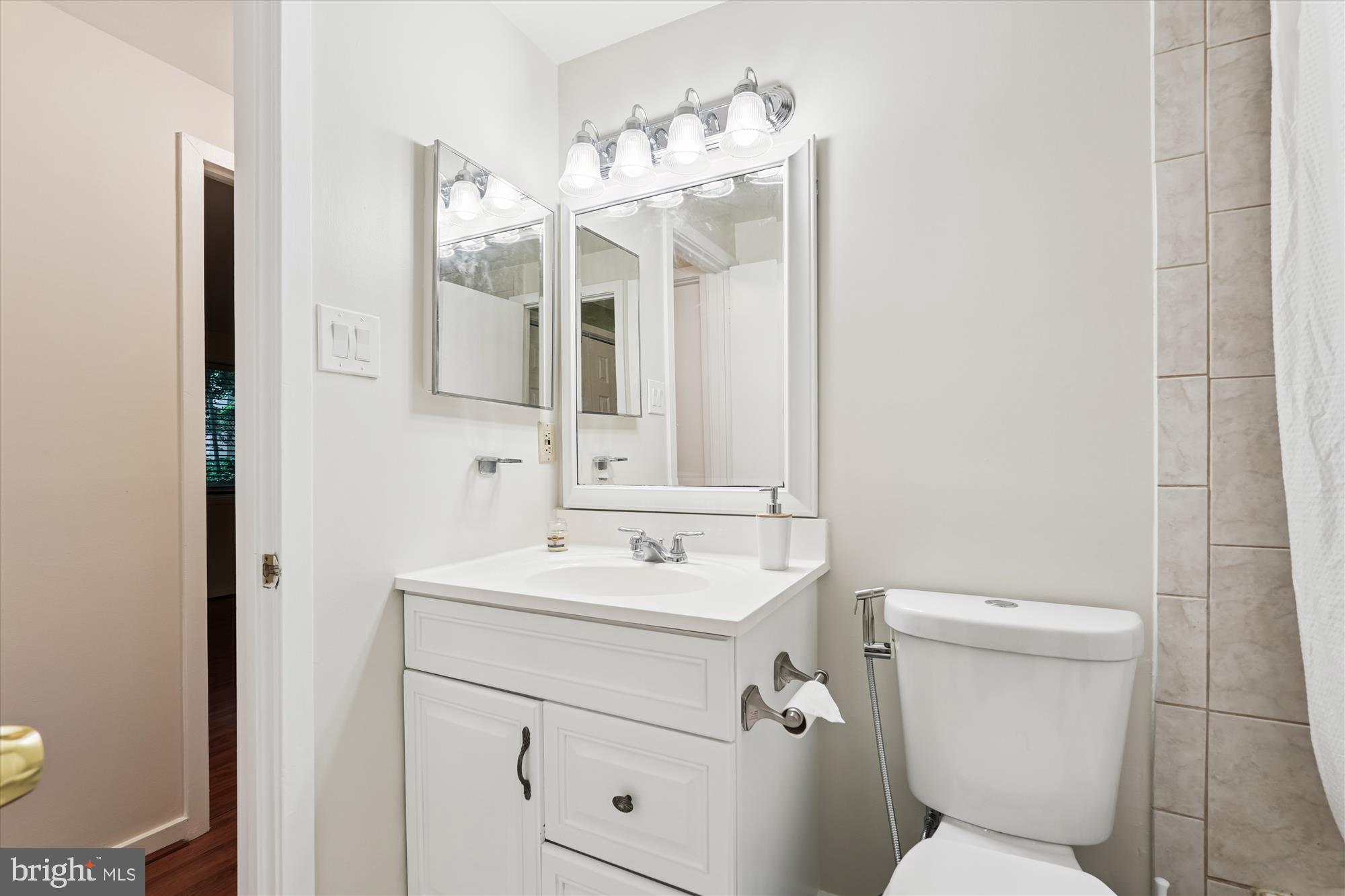 9731 Hellingly Place, Unit 37 Montgomery Village, MD 20886 - Photo 16 of 20 a bathroom with a sink a toilet and mirror