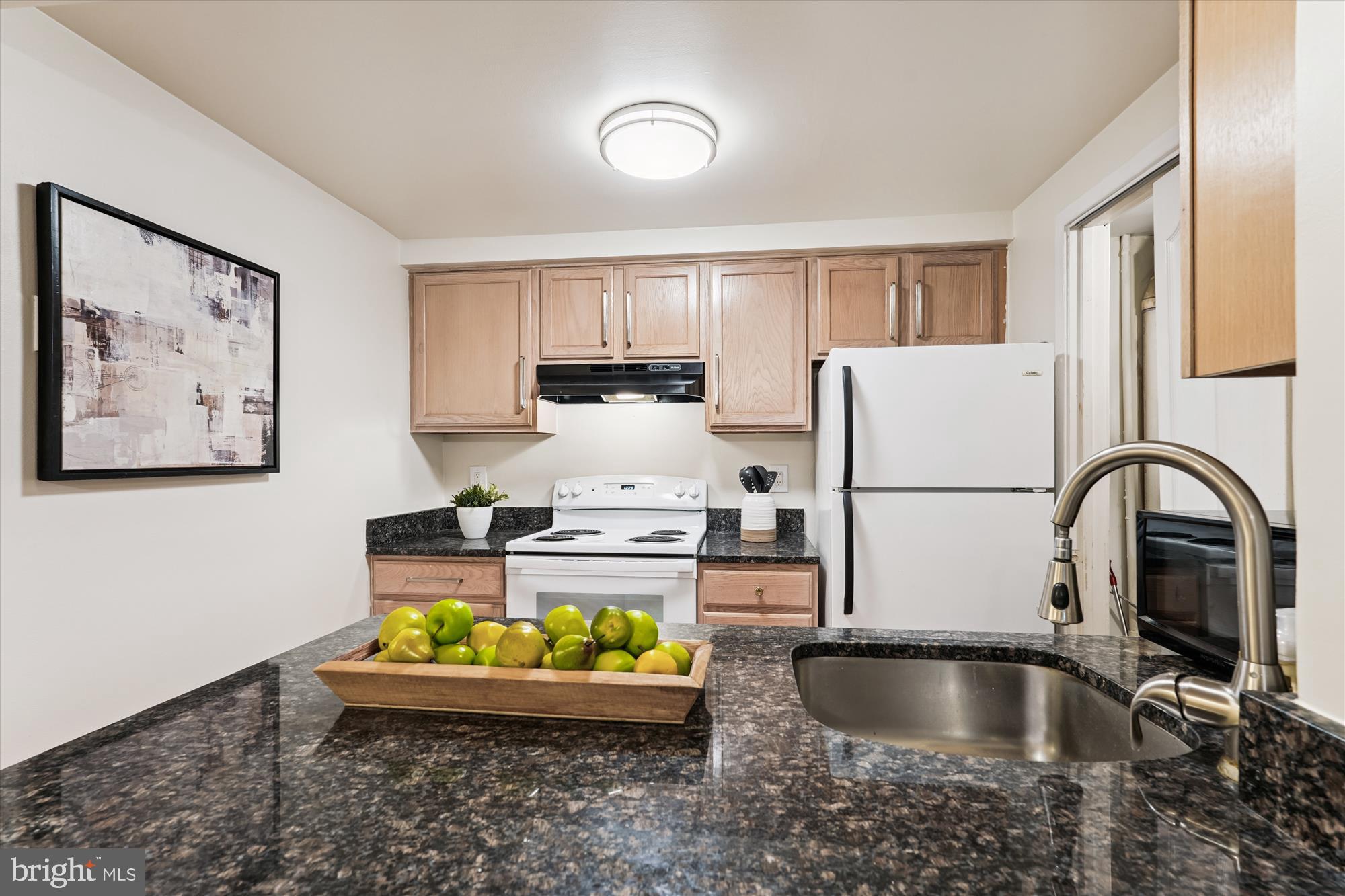 9731 Hellingly Place, Unit 37 Montgomery Village, MD 20886 - Photo 6 of 20 a kitchen with a refrigerator and a sink