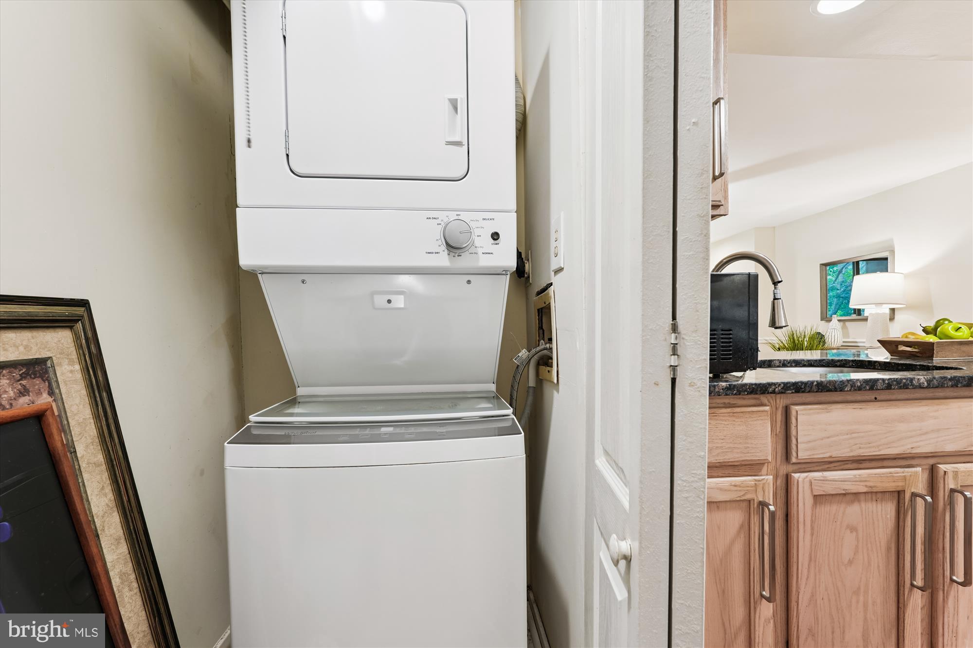 9731 Hellingly Place, Unit 37 Montgomery Village, MD 20886 - Photo 10 of 20 a view of washer and dryer
