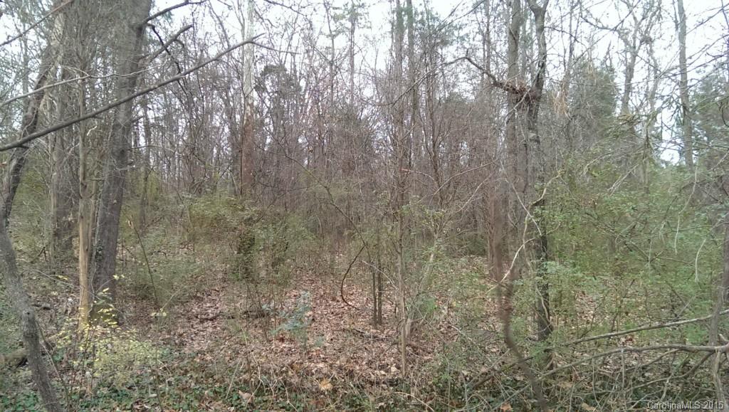 Off Zion Church Road Concord, NC 28025 - Photo 2 of 3 Gallery Image 2