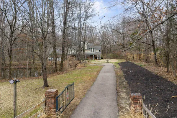 a view of a yard with trees
