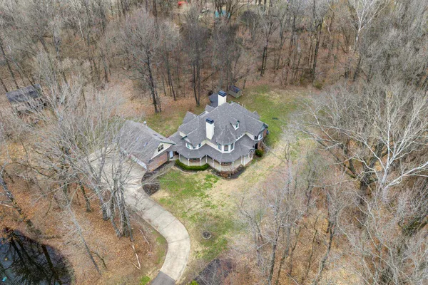 a view of a tree with yard