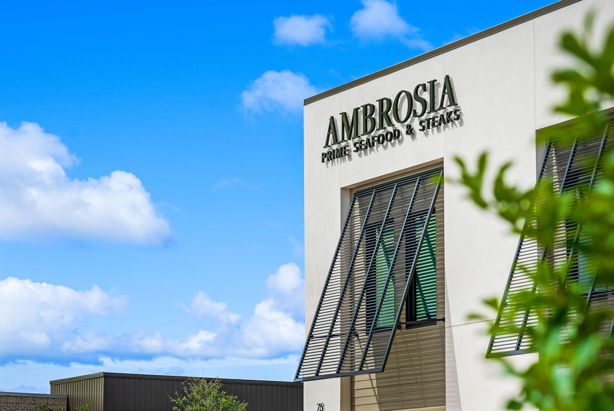 128 Ravine Rd Inlet Beach Inlet Beach, FL 32461 - Photo 69 of 78 76-web-or-mls-47-ravine-rd