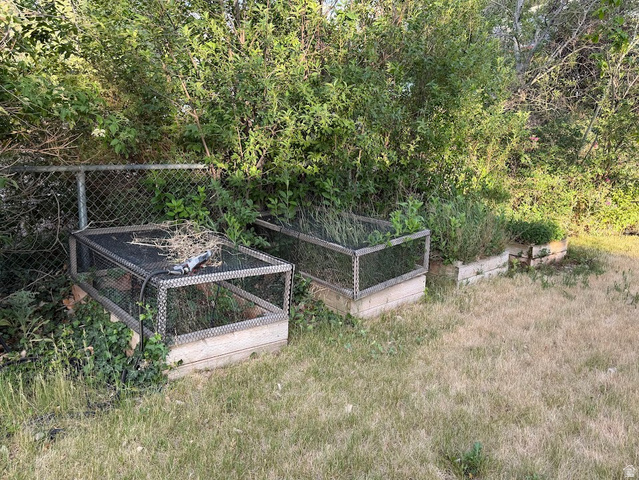 737 Wasatch Street Midvale, UT 84047 - Photo 24 of 29 Raised garden beds featuring wood construction and protective mesh covers