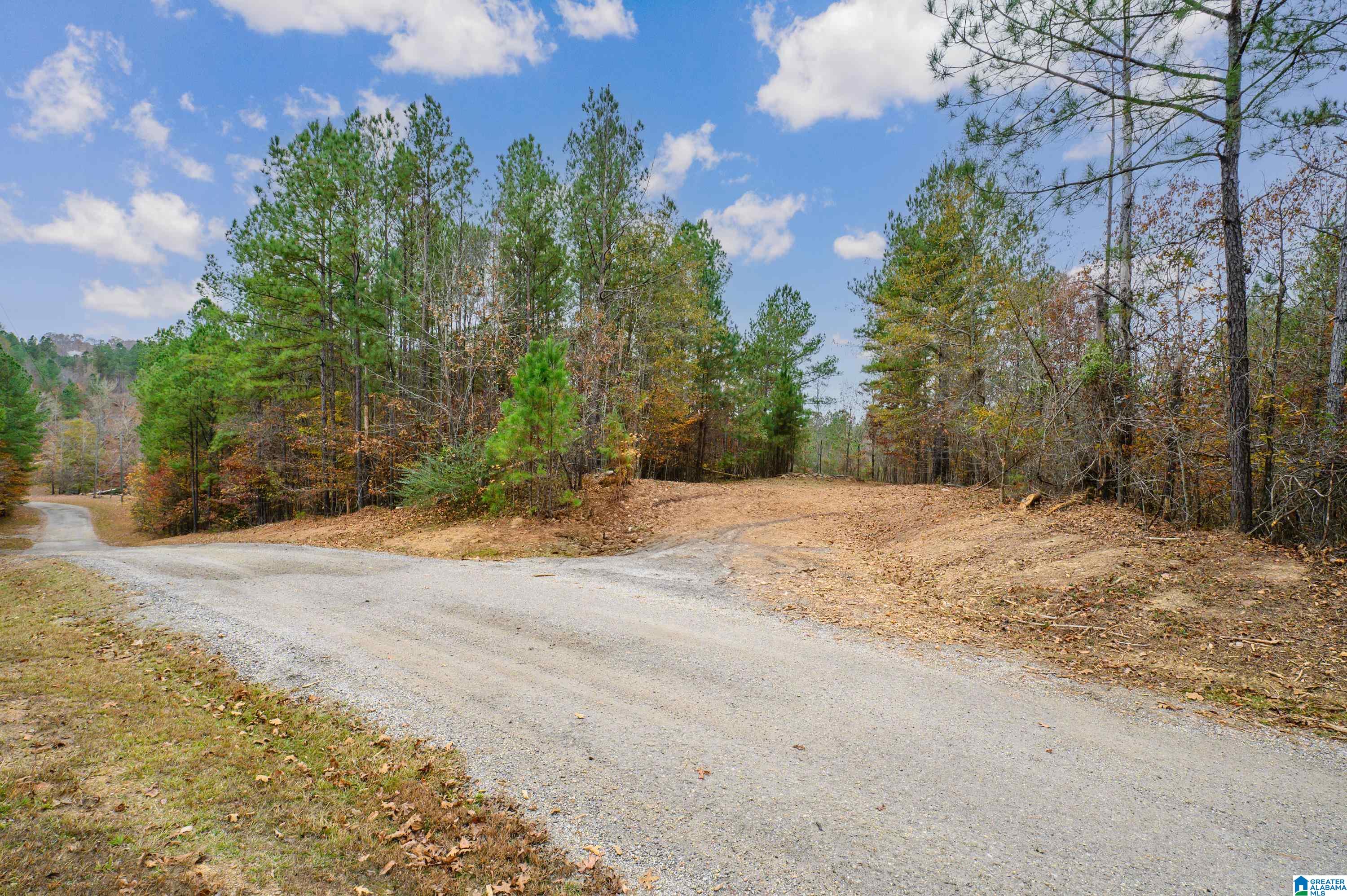 8799 Shades Fall Way, Unit 2 Bessemer, AL 35022 - Photo 19 of 45