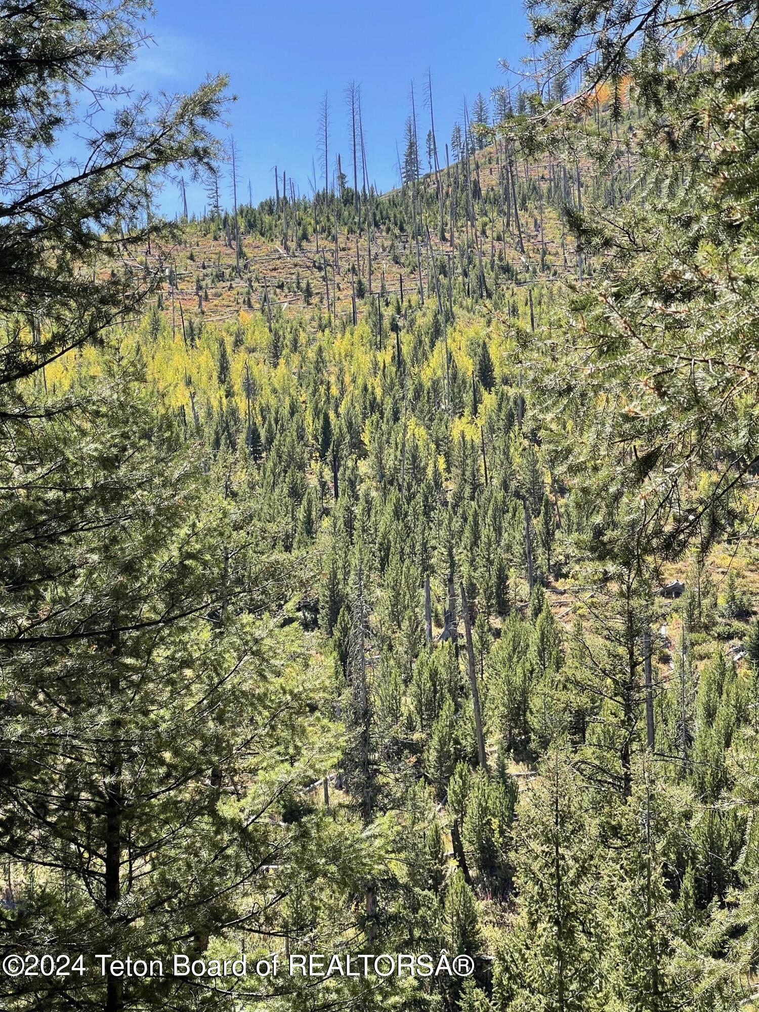 6880 Lupine Trail Wilson, WY 83014 - Photo 3 of 9 Overlooking a Valley