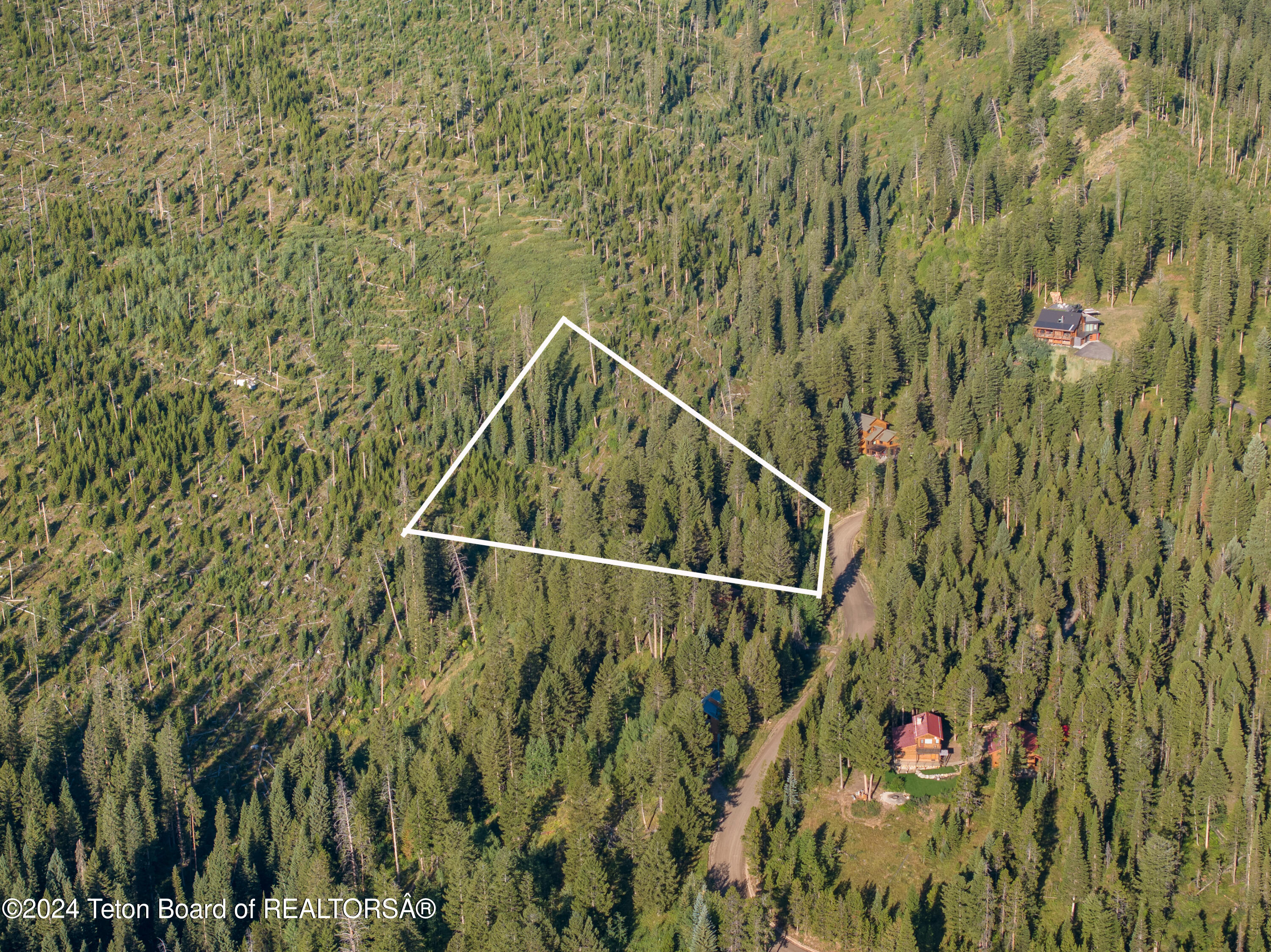 6880 Lupine Trail Wilson, WY 83014 - Photo 6 of 9 Total Privacy