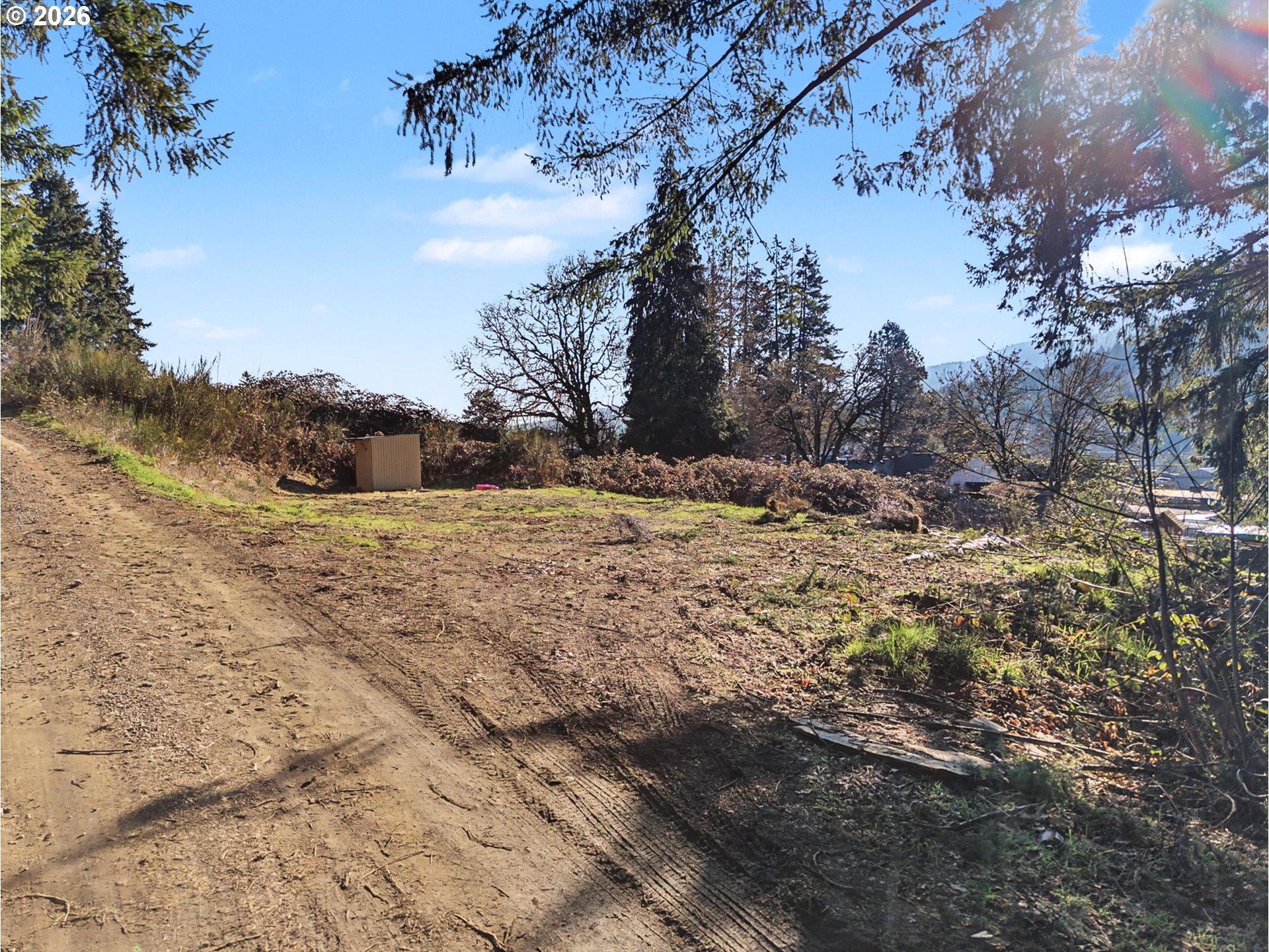 a view of a yard with trees