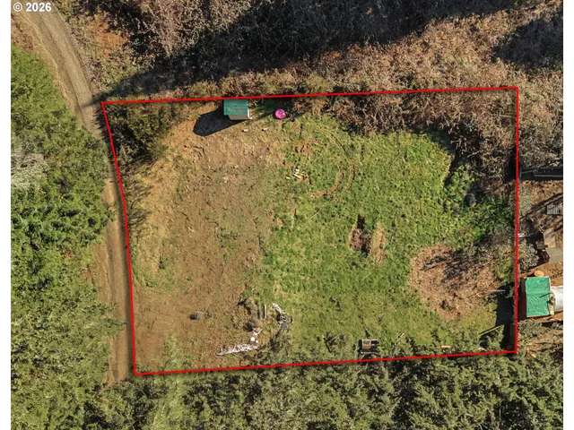 a view of a yard with plants and large trees